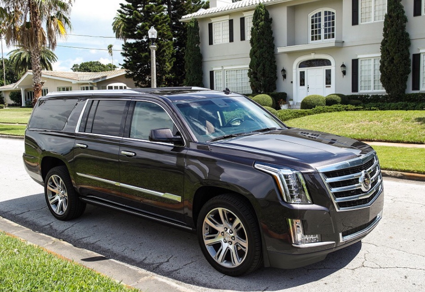 a1 limo
